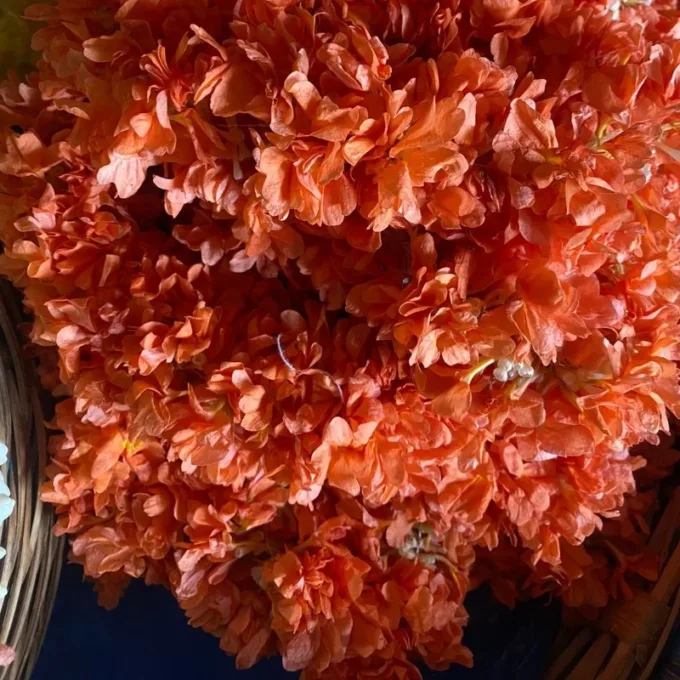 Kanakambara String - 40cm